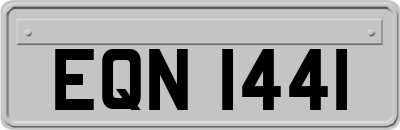 EQN1441