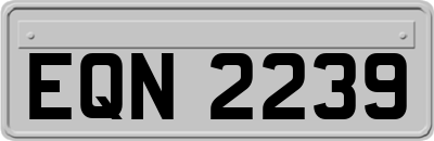 EQN2239