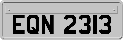 EQN2313