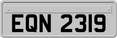 EQN2319