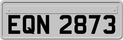 EQN2873