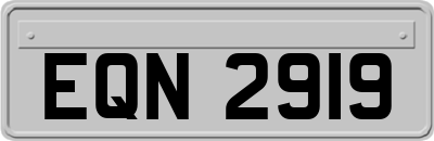 EQN2919