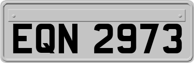 EQN2973