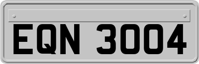 EQN3004