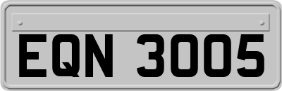 EQN3005