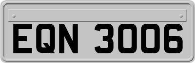 EQN3006