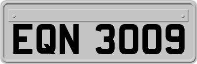 EQN3009