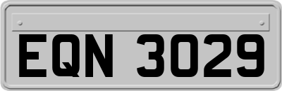 EQN3029