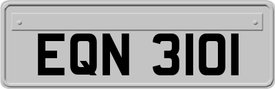 EQN3101