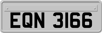EQN3166