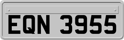 EQN3955