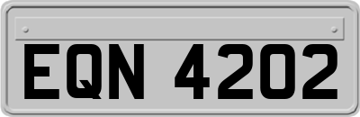 EQN4202