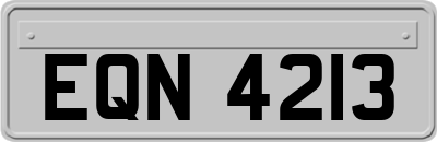 EQN4213