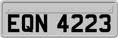 EQN4223