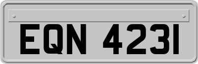 EQN4231
