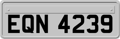EQN4239