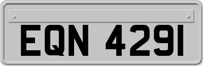 EQN4291