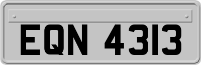 EQN4313
