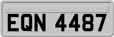 EQN4487