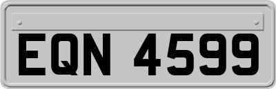 EQN4599
