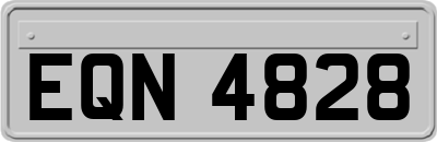 EQN4828