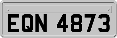 EQN4873