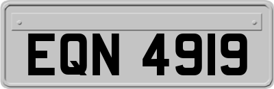 EQN4919