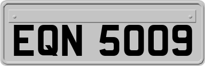 EQN5009