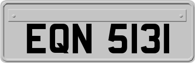EQN5131