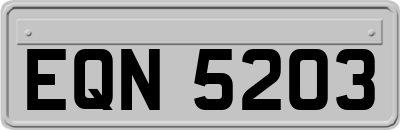 EQN5203