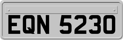 EQN5230