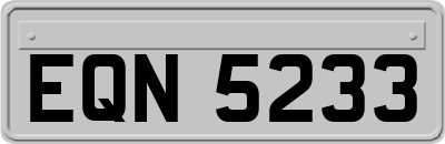 EQN5233