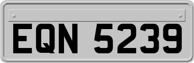 EQN5239