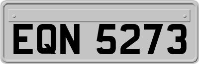 EQN5273
