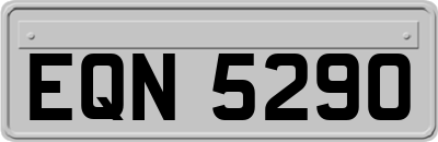 EQN5290