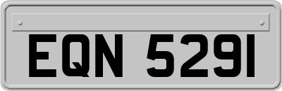 EQN5291