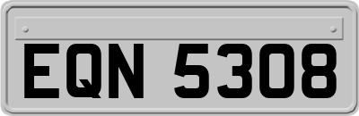 EQN5308