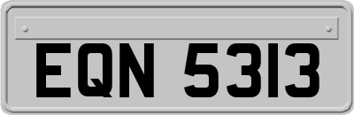EQN5313