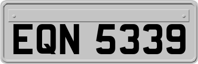 EQN5339