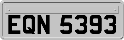 EQN5393