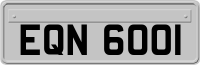 EQN6001