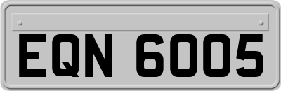 EQN6005