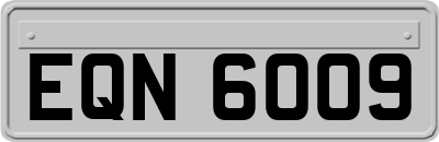 EQN6009