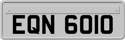 EQN6010