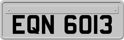 EQN6013