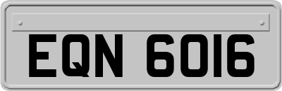 EQN6016