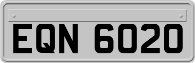 EQN6020