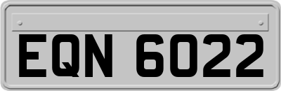 EQN6022
