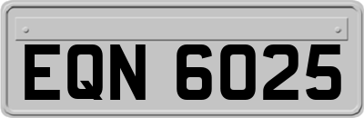 EQN6025