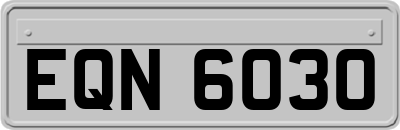 EQN6030